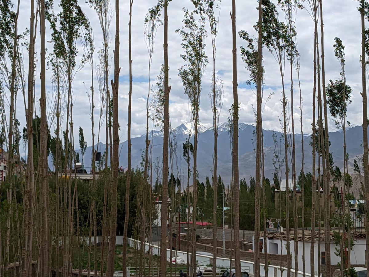 Chandan Guest House Leh Esterno foto