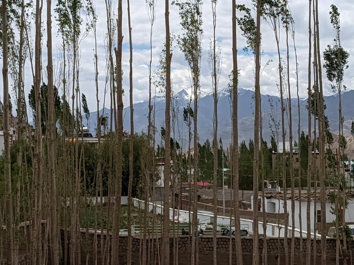Chandan Guest House Leh Esterno foto